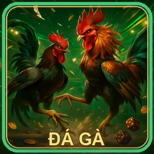 Các chương trình khuyến mãi và ưu đãi